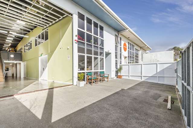 8a Horner Street Newtown_2