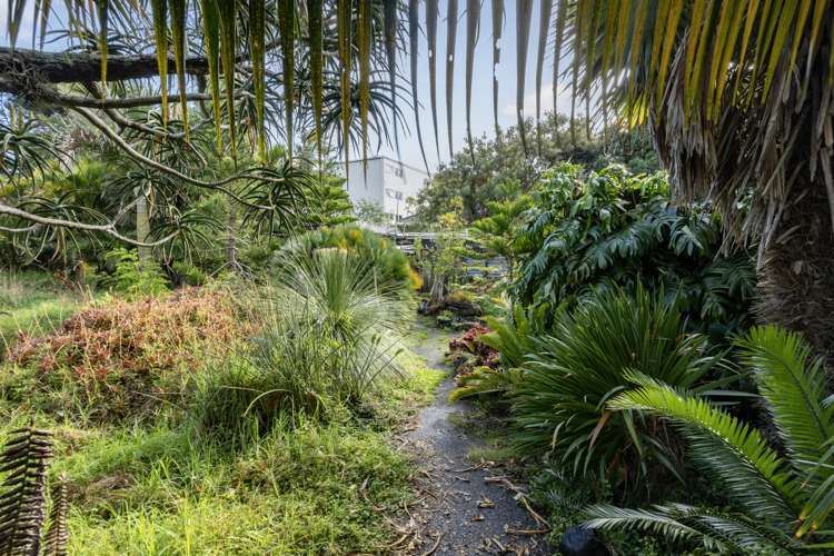 20 Edenvale Crescent Mount Eden_13