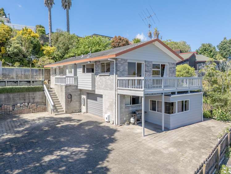 31 Carlton Street Bellevue_2
