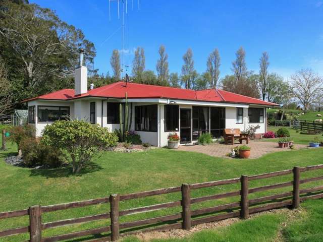 328 Waimanu Road Pukeatua_4