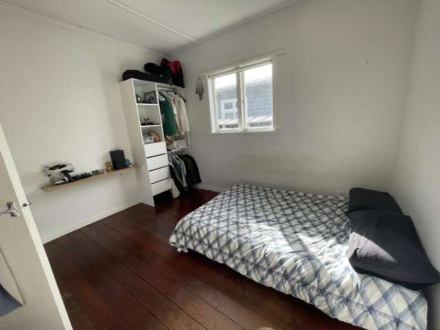 33A Nile Road Milford_4