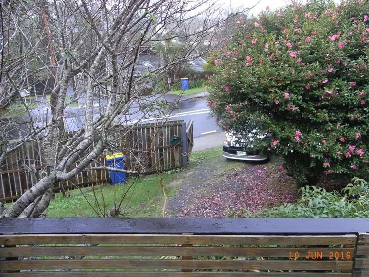 2/2 Derwent Crescent Titirangi_7