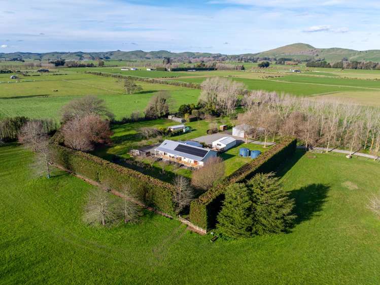 237a Watsons Road Masterton_36