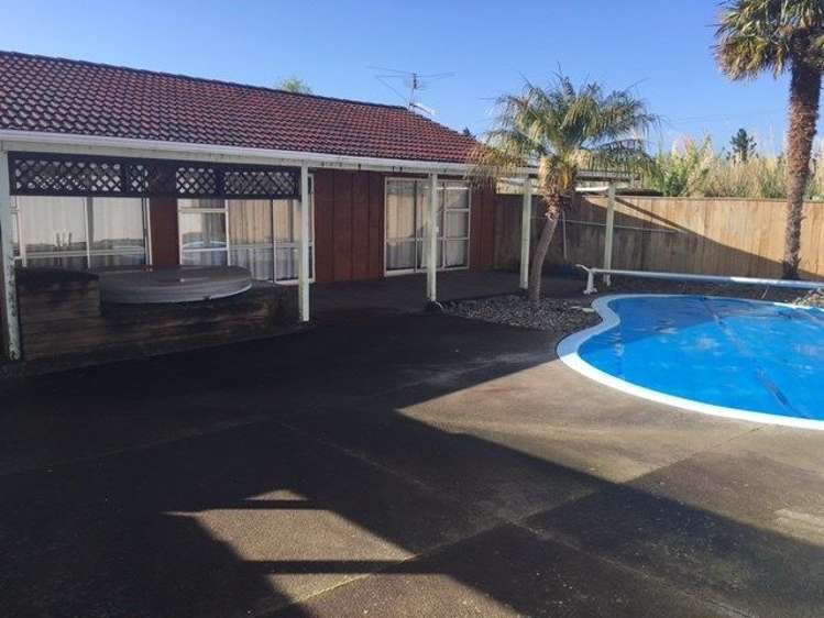 349 Postman Road Dairy Flat_12