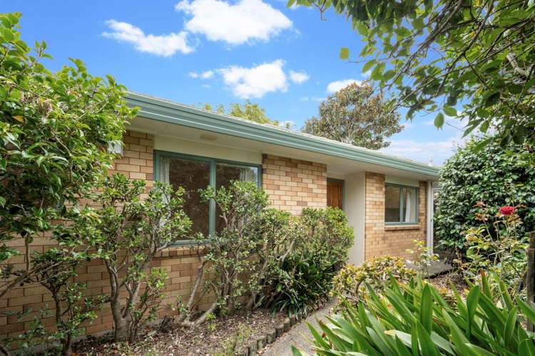 66c Moana Avenue One Tree Hill_13