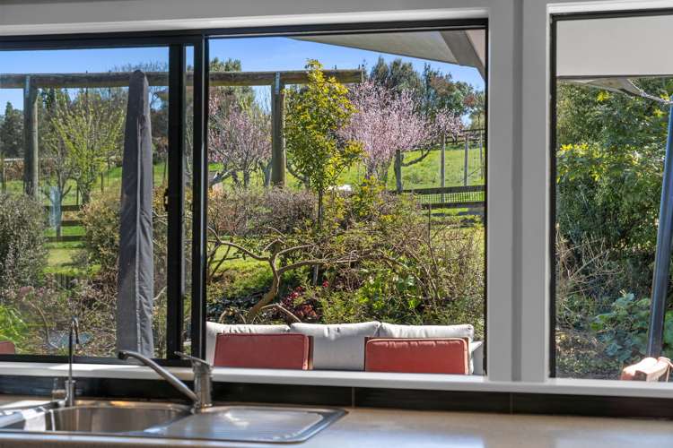 26 Appleton Lane Eureka_6