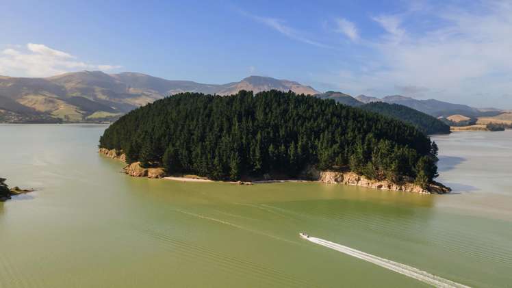 56 Governors Bay Road Cass Bay_40