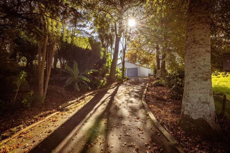 135A McLaren Falls Road Lower Kaimai_33