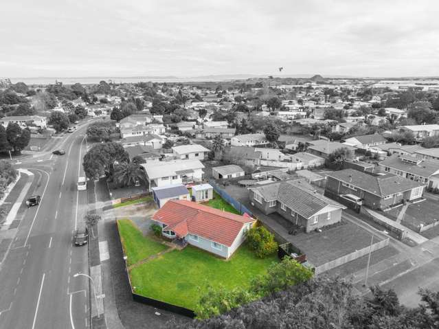 19 Burbank Avenue Manurewa_2