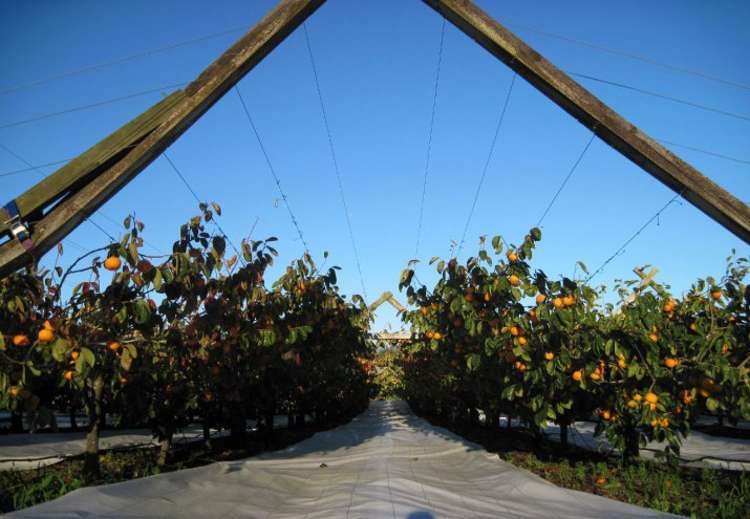 811 Hakarimata Road Huntly_4