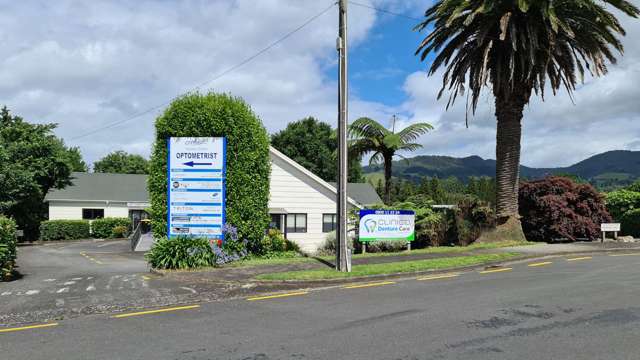 Medical or professional offices opportunity