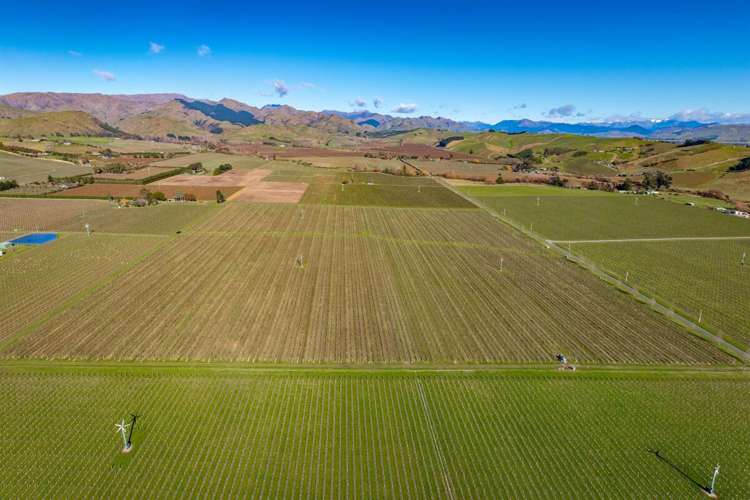 487 Hawkesbury Road Hawkesbury_7