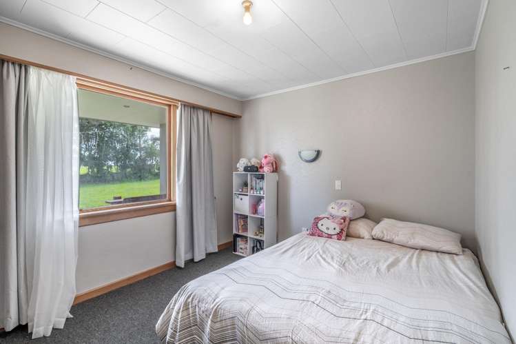 12 Shand Road, Farm 1 Rimu_14