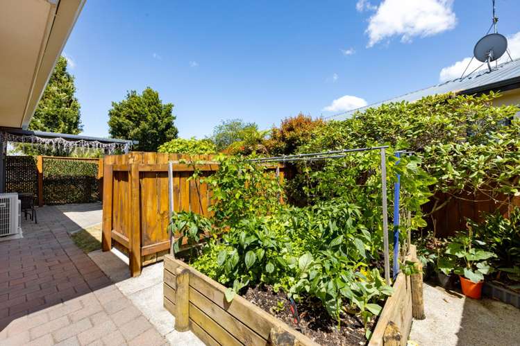 50 Catalina Drive Melville_18