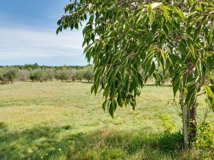 119 Verona Place Ohoka_8