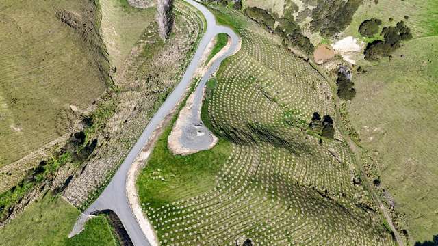 Lake Ferry Road Martinborough_4