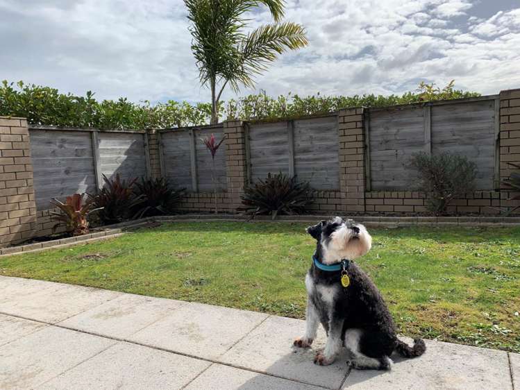 55 Oakway Drive Schnapper Rock_17