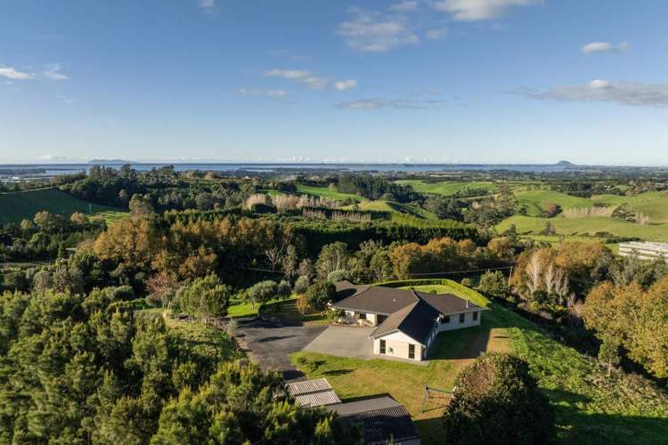 329B Thompsons Track Katikati_27