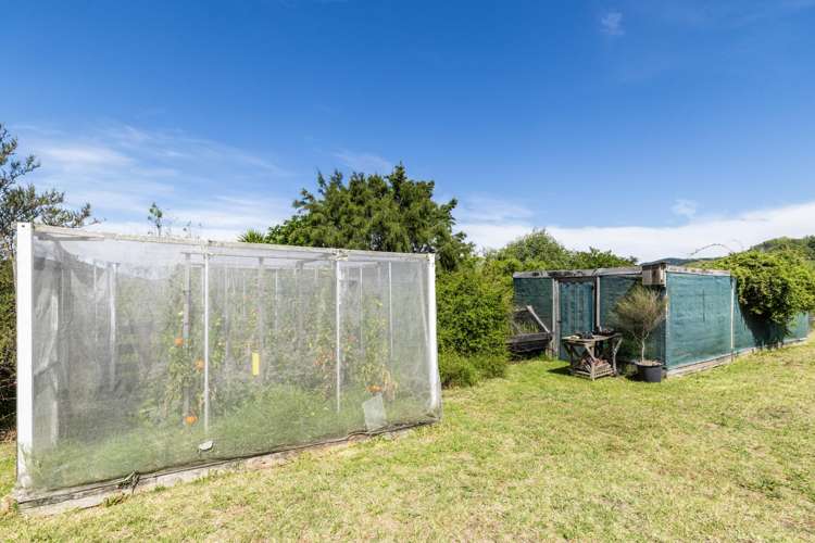 246 Seafield Road Eskdale_27