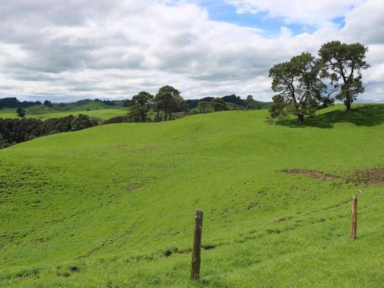 196 Hildreth Road Arapuni_34