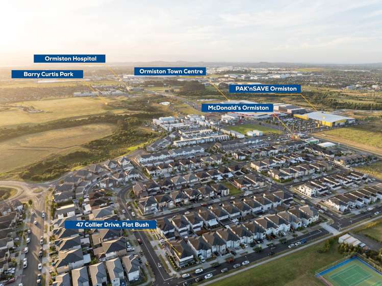 47 Collier Drive Flat Bush_9