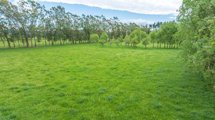 420A Woodfields Road Swannanoa_10