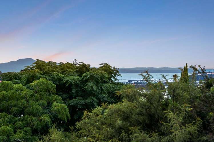 203/8 Middleton Road Remuera_8