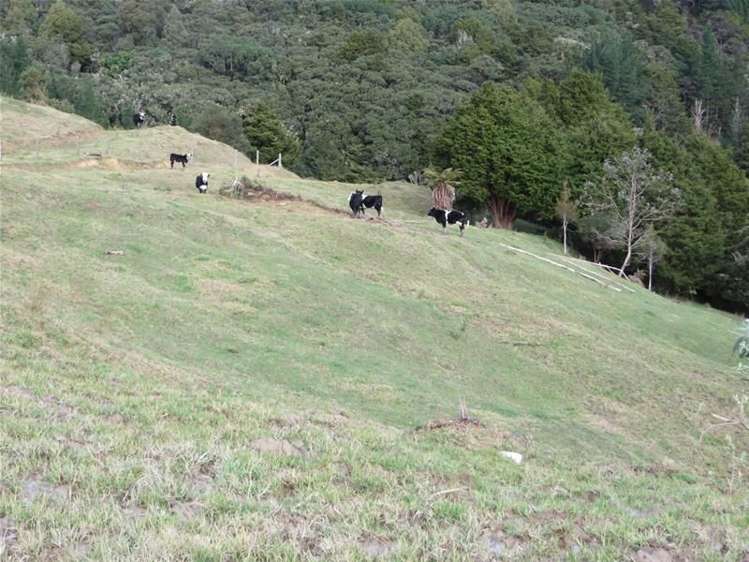 565 Bickerstaffe Road Maungaturoto_13