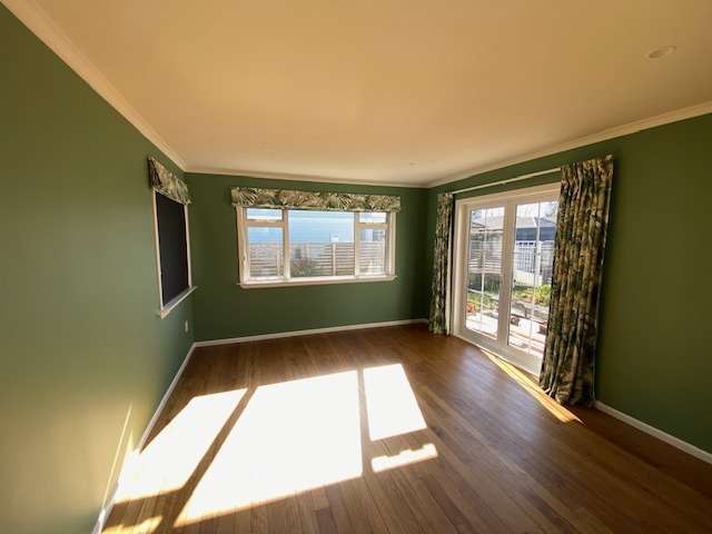 12B Barry Avenue 11597_3