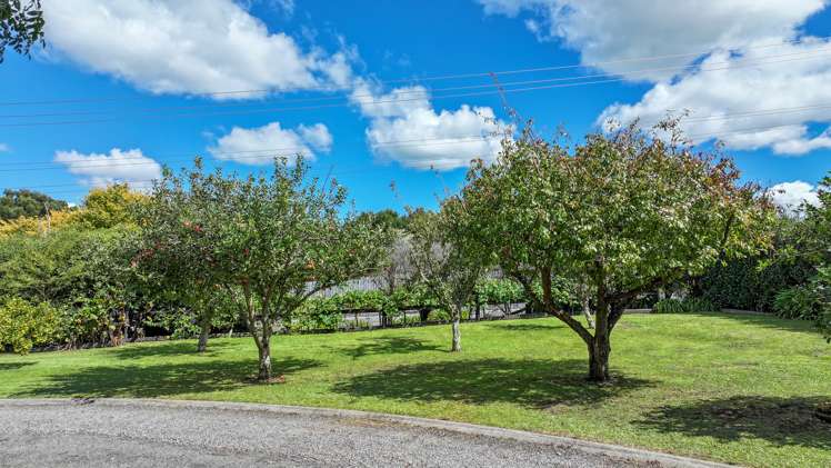 8844E Paeroa Kopu Road Puriri_25