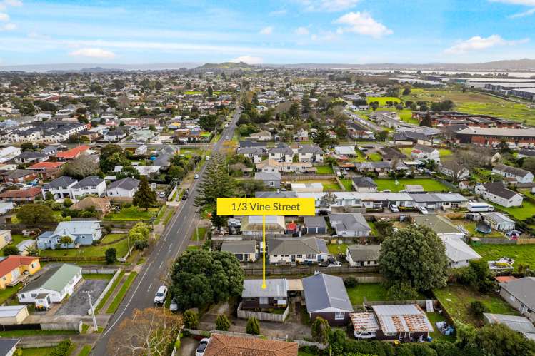 1/3 Vine Street Mangere East_17