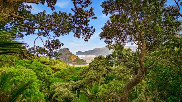 55 Rayner Road Piha_2