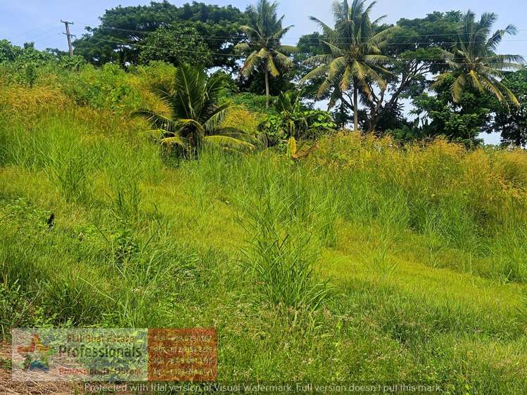 Address withheld Savusavu_10