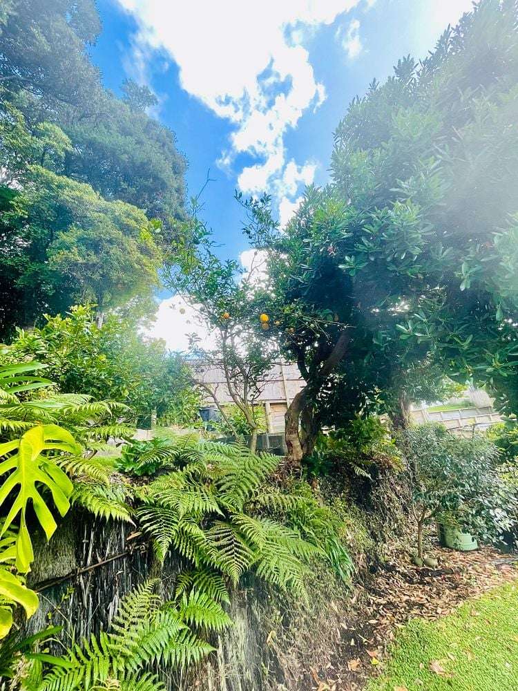 88 Carrington Street Lower Vogeltown_22