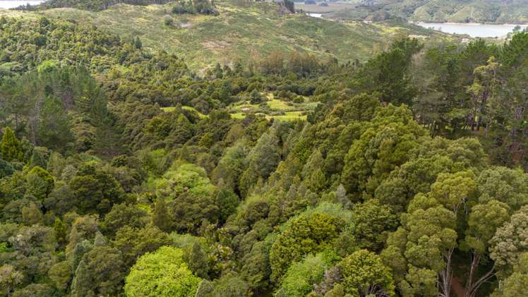 243 Creamery Road Kohukohu_31