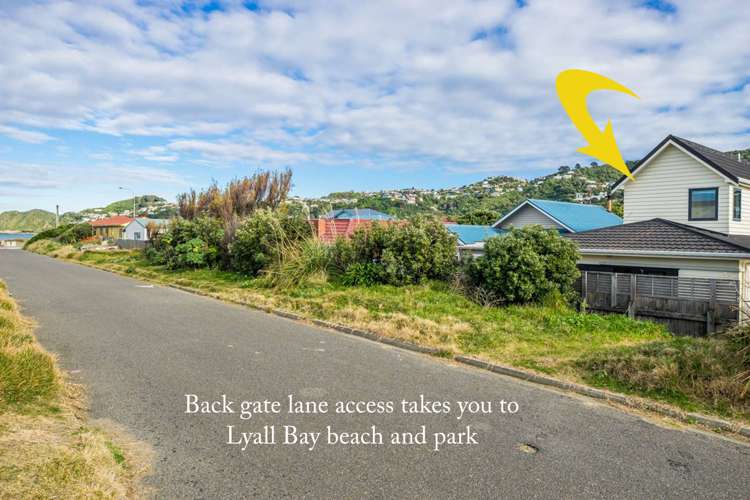 83a Apu Crescent Lyall Bay_16