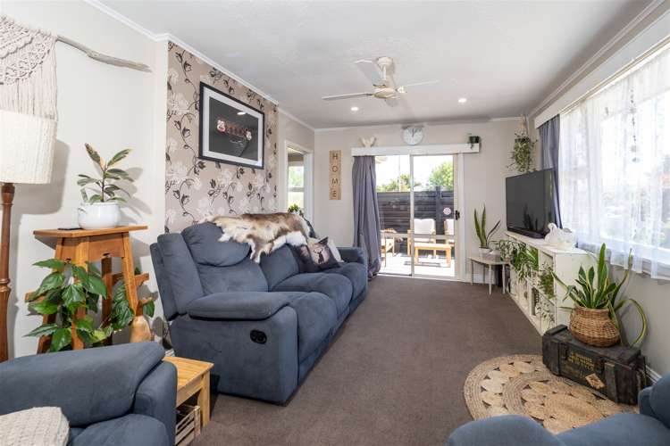 67 Harland Street Tinwald_6