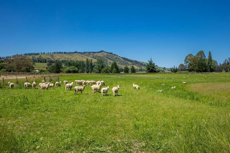 160 Tadmor Valley Road Tapawera_49