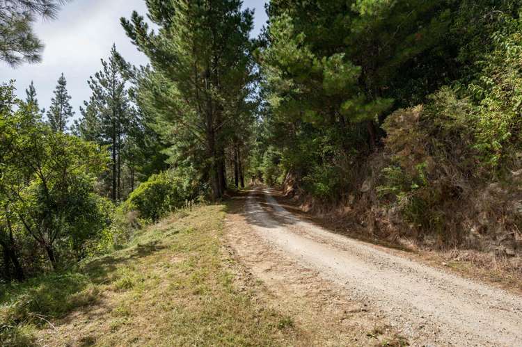 297 Graham Valley Road Motueka Valley_22