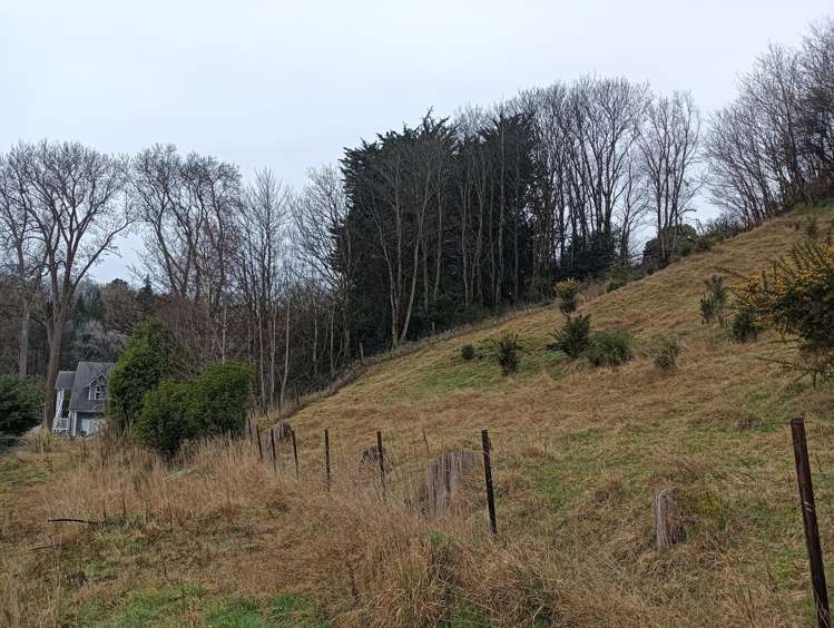 24 Campbelton Street Lawrence_6