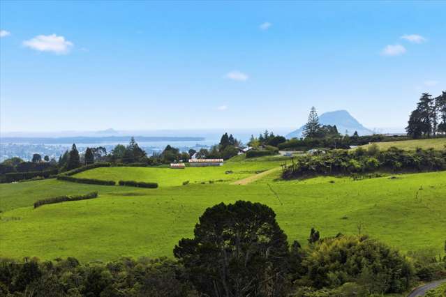 857B Upper Ohauiti Road Ohauiti_2