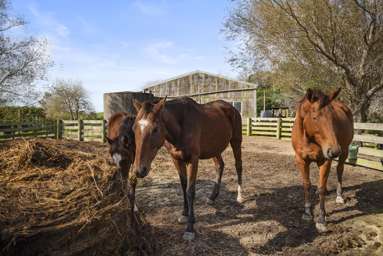 844 Wairamarama Onewhero Road_4