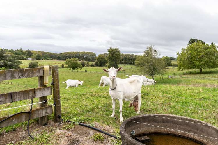 148 Lindsay Road Whatawhata_14