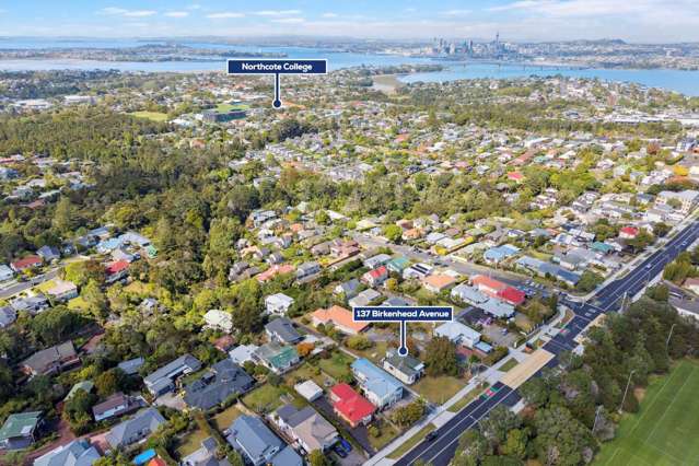 137 Birkenhead Avenue Birkenhead_3