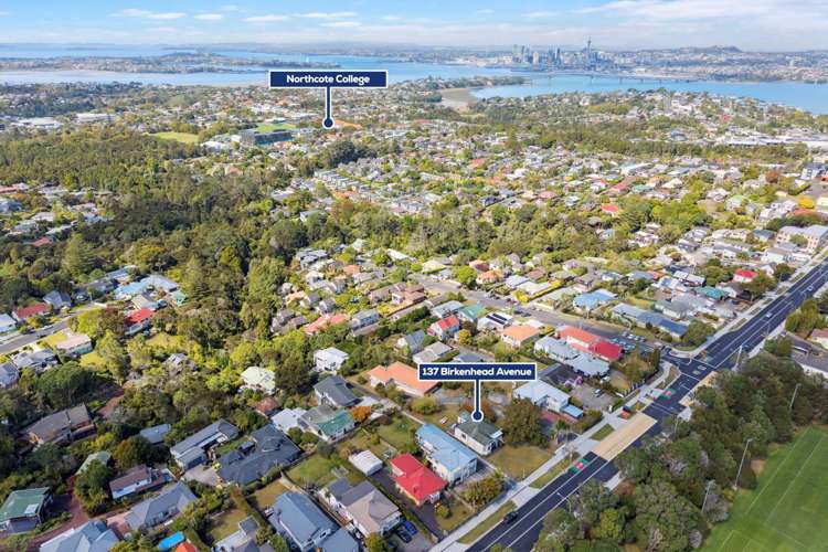 137 Birkenhead Avenue_4