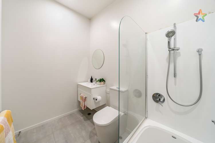 1 Te Ara O Paetutu Petone_24