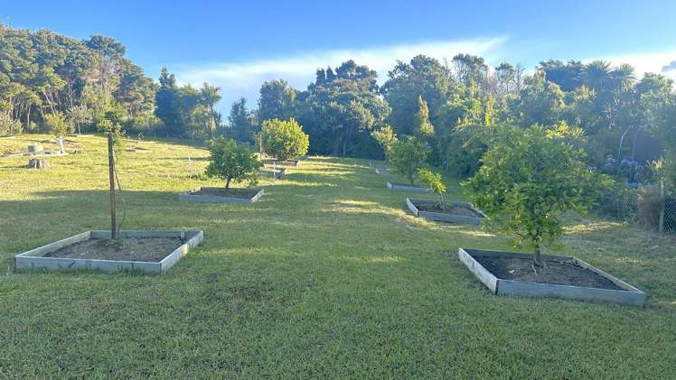 10 Woods Ridge Road Kawau Island_34