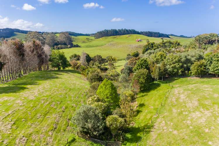 100 River Drive Kerikeri_12