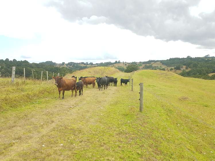 160 Otuhi Road Mangapai and Surrounds_19