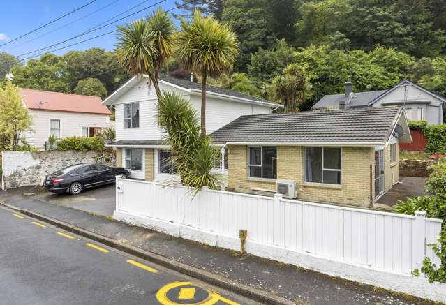 17a Buccleugh Street North East Valley_1